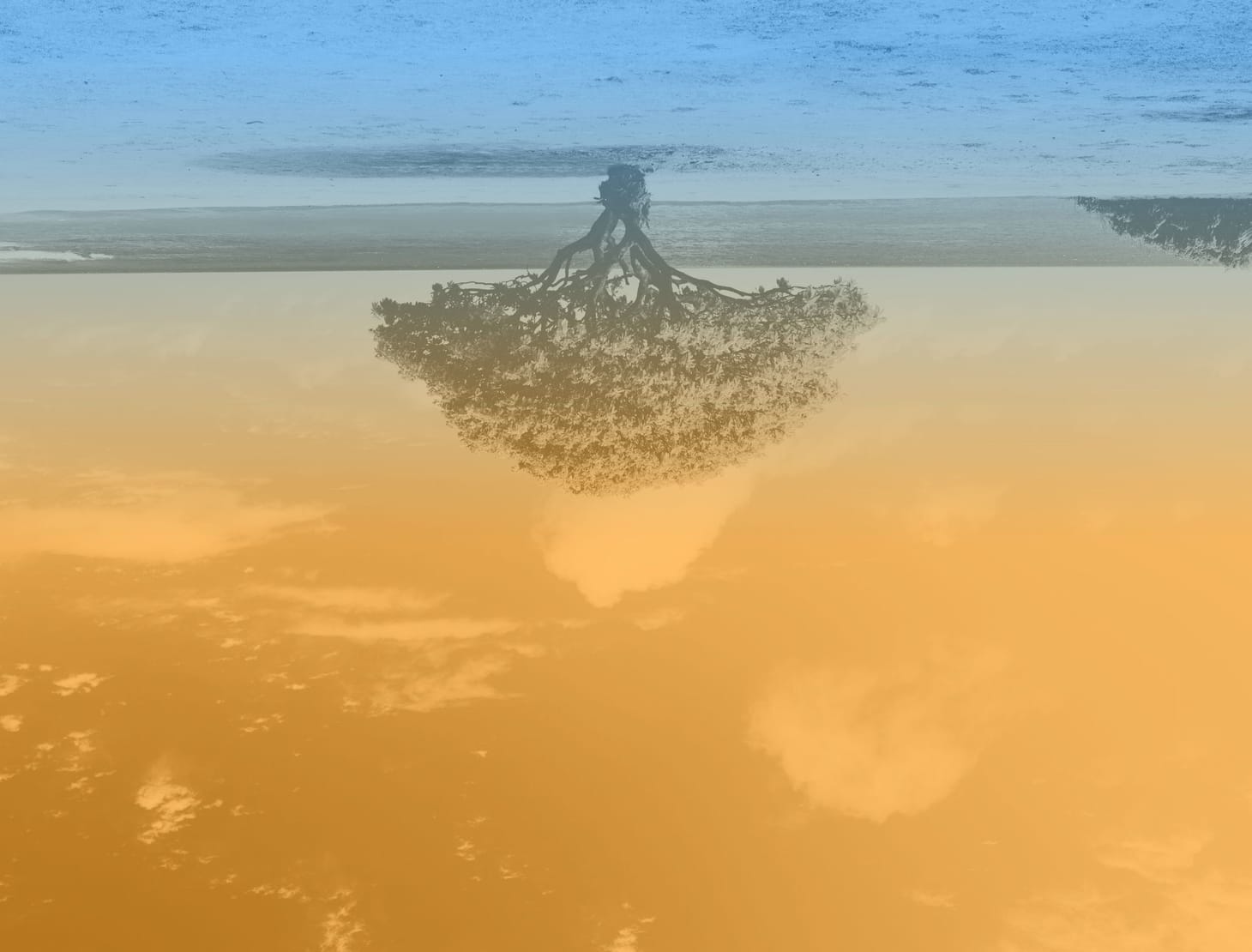The Upside Down