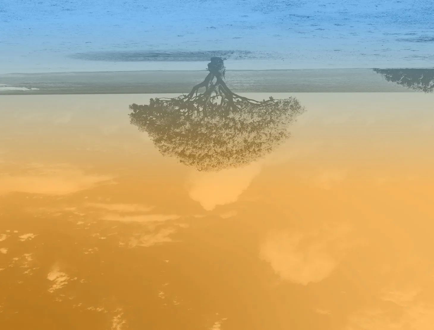 The Upside Down
